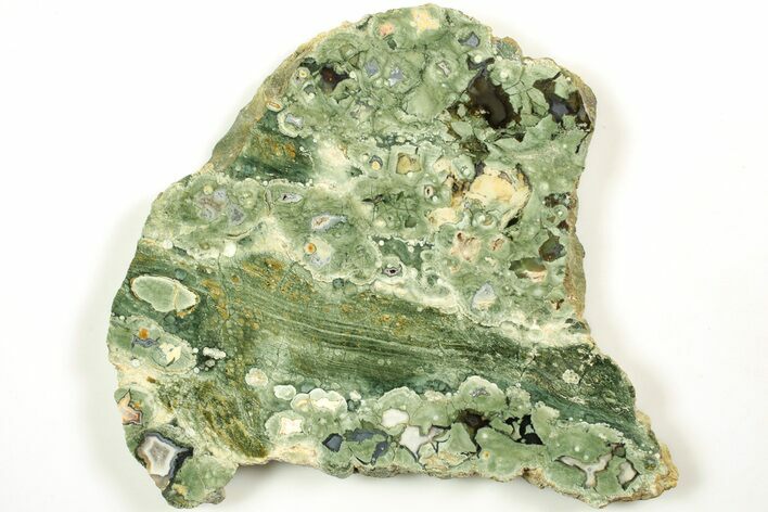 Polished Rainforest Jasper (Rhyolite) Slab - Australia #208180